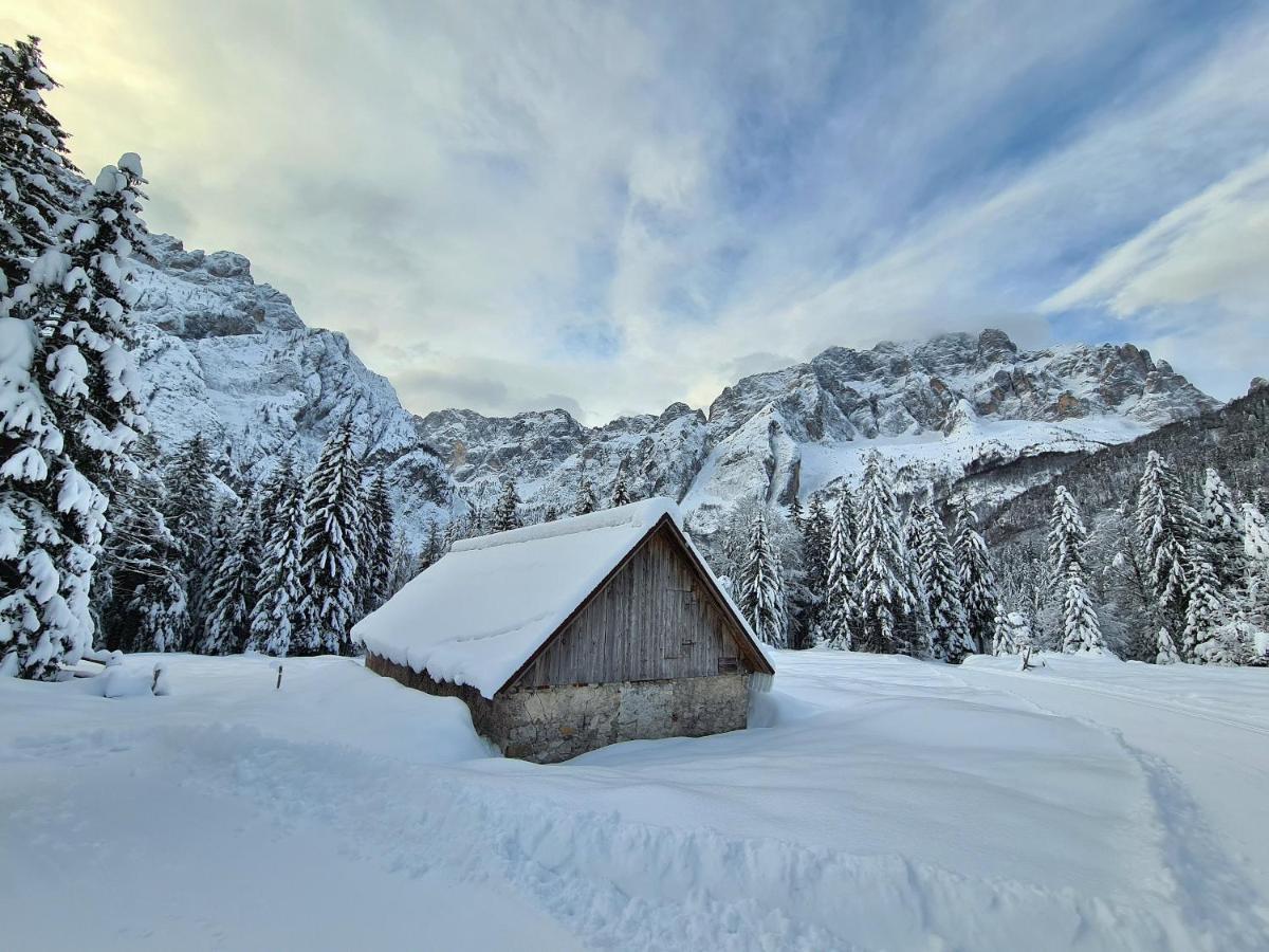 Chalet Camporosso Camporosso  Екстер'єр фото